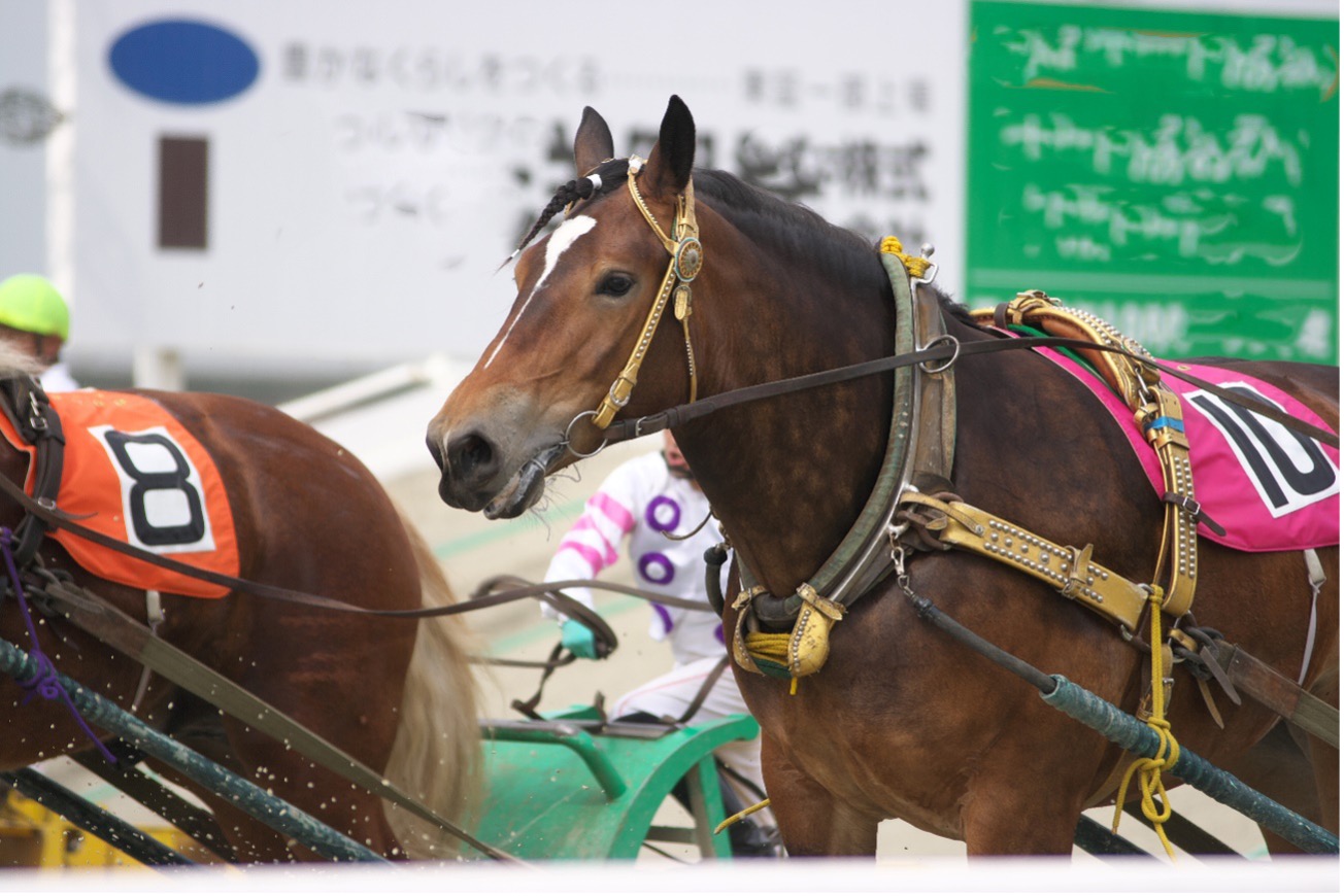 近年に競馬界で注目を集めたレース